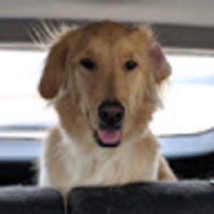 Meet your Posher, Bryce